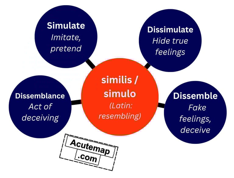 simulus root word vocabulary