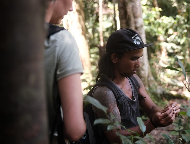 Sumatra Trip About Orangutan Bukit Lawang Trekking