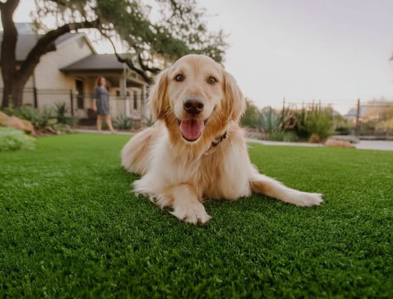 Artificial grass for dog