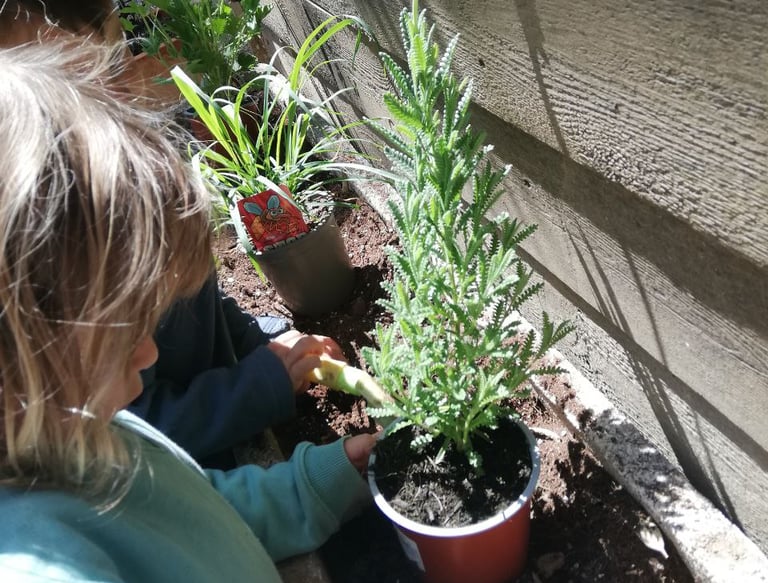Infants plantant una planta aromàtica a l’hort