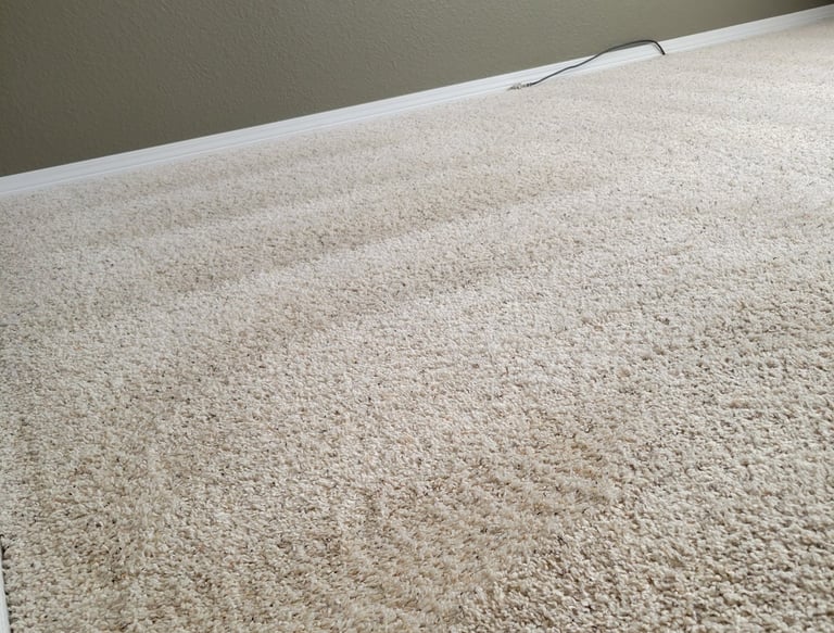 Fresh Clean White Carpet when using King Organic Clean