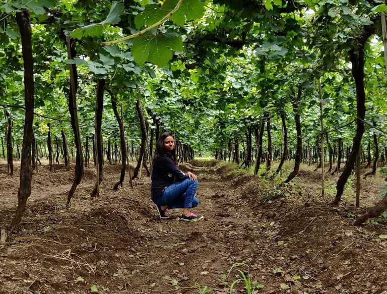Things to do in Nashik