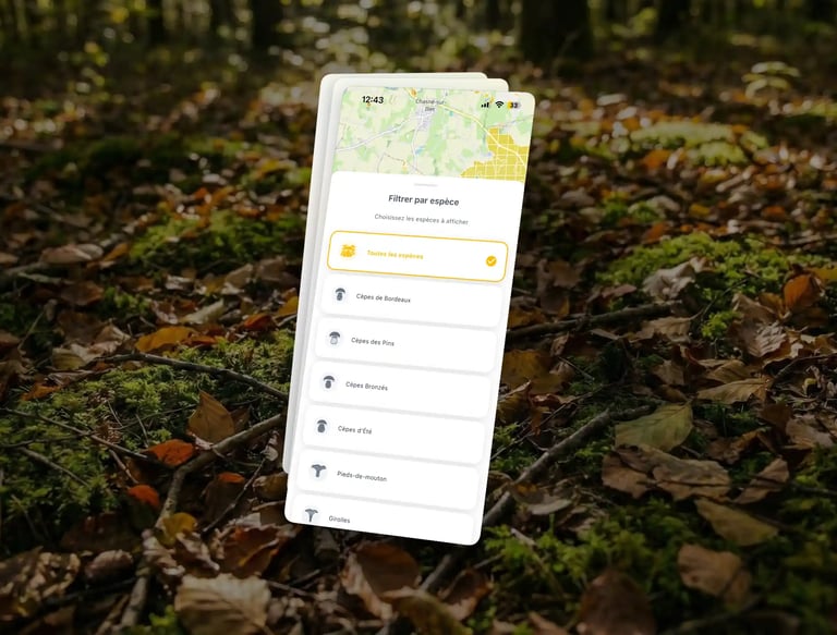 mapignon filtre champignon