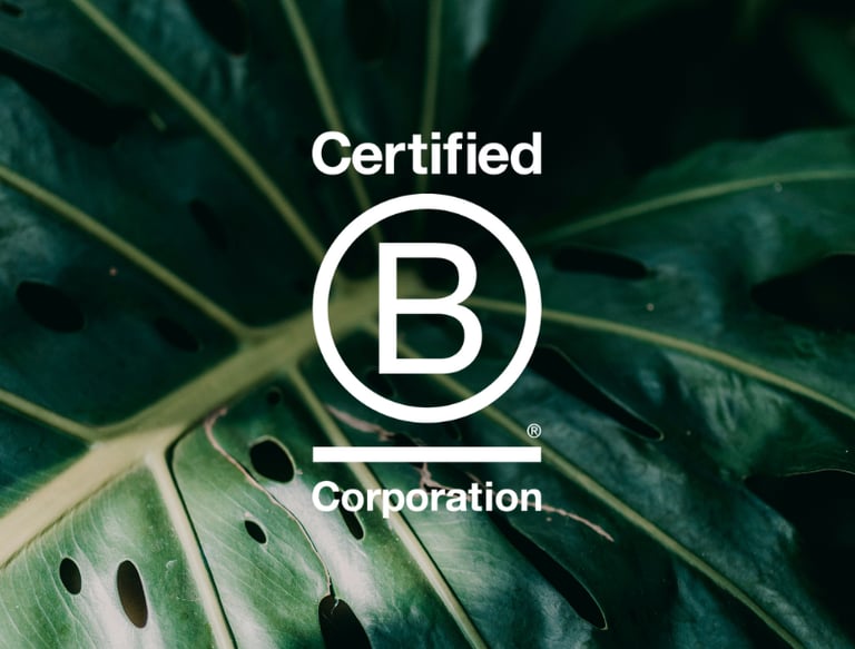 B-Corp-Certified_Corporation-image-leafe
