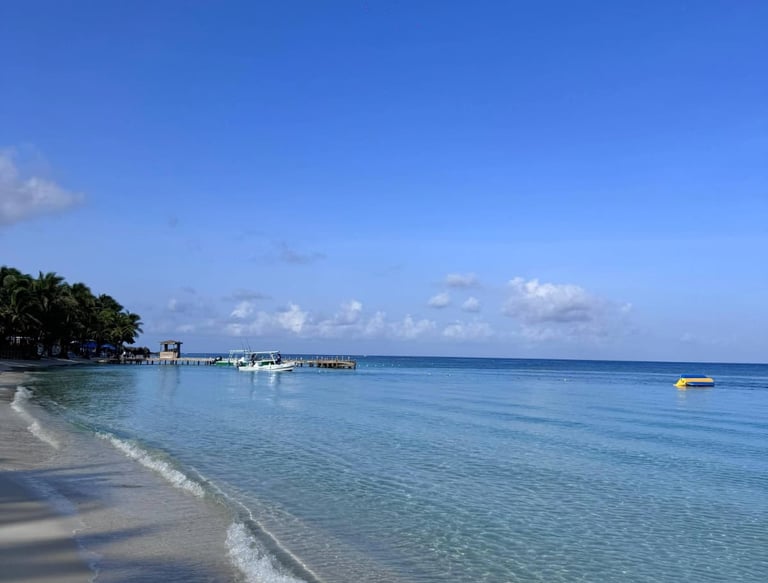 disfrura de nuestras playas de west bay