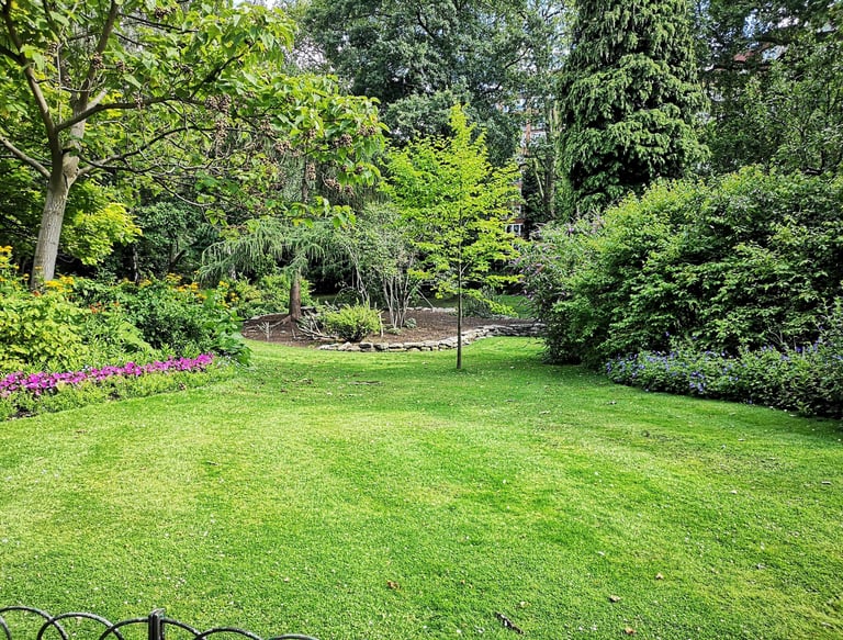 Freshly trimmed garden maintained by professional gardener in Norwich
