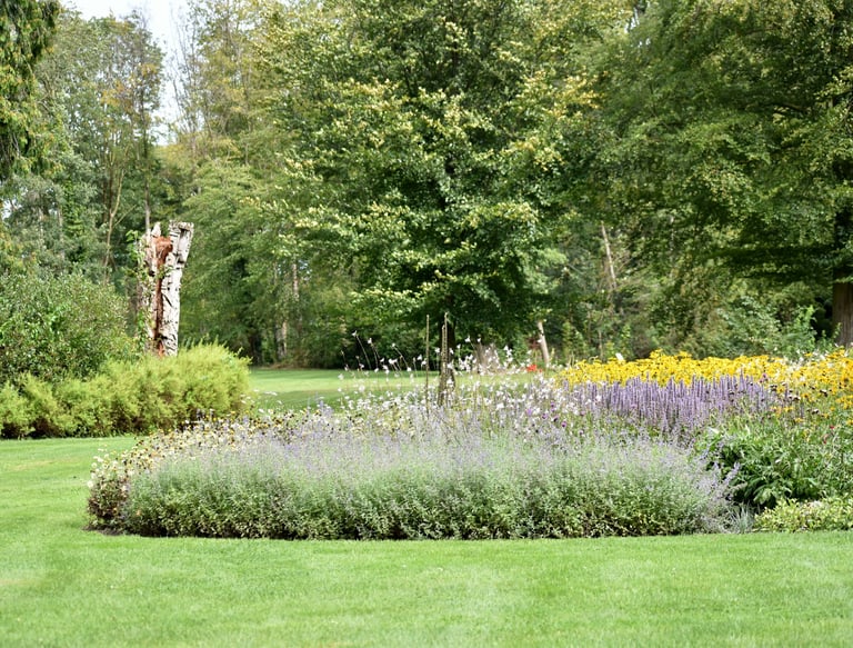 Fresly trimmed and landscaped garden