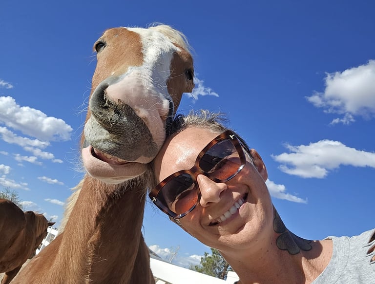 rescued baby draft horse now happy and healthy