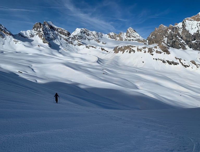 Coaching and advice to help entrepreneurs find their way and new leaders to make their own mark