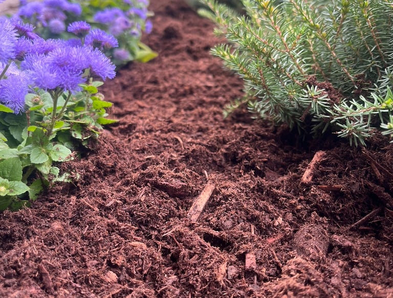 Mulch Closeup