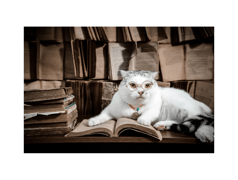 pet transport directory user review section