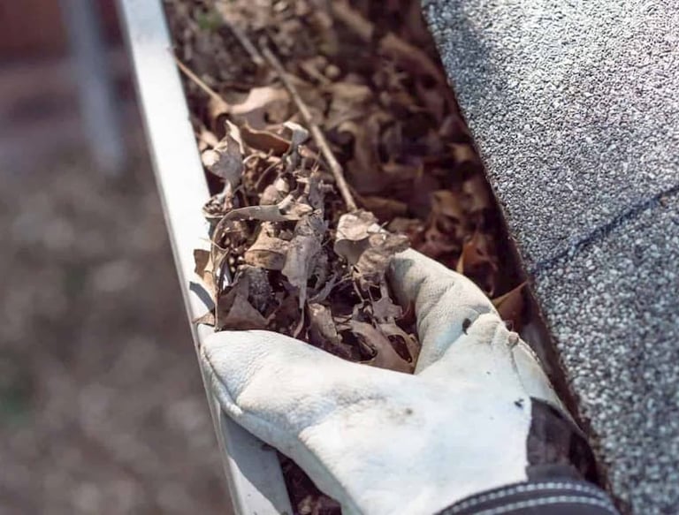 a handful of leaves in a glove in a gutter