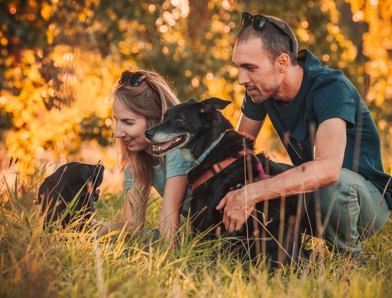 Ritratto di famiglia con due cani neri tra foglie gialle