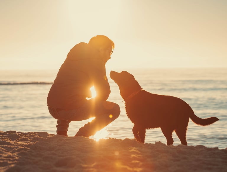 ritratto di ragazzo e cane nero sul mare al tramonto