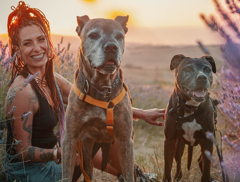 ragazza sorridente con i rasta e i suoi due cani tra la lavanda