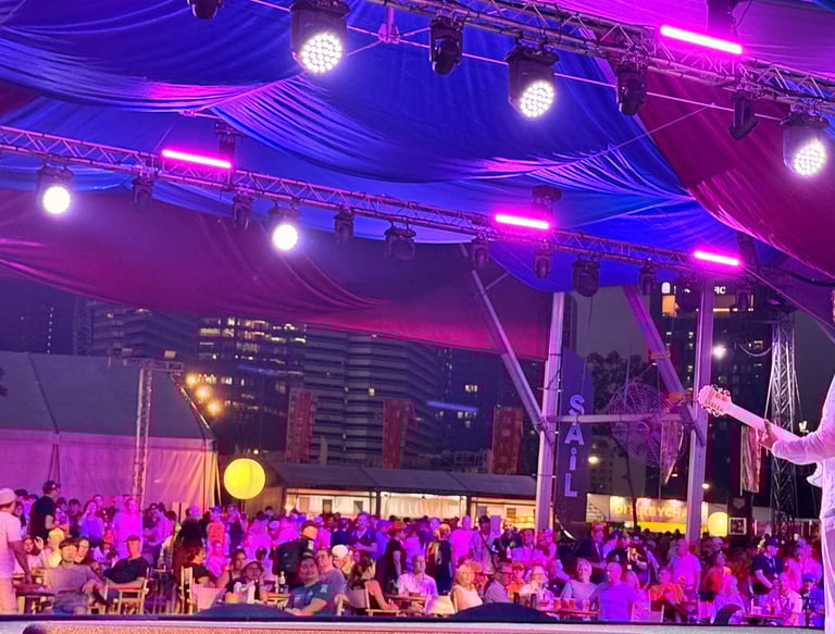 Image of live music audience as viewed from the left rear of the stage.