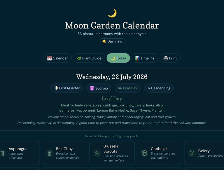moon calendar 2026