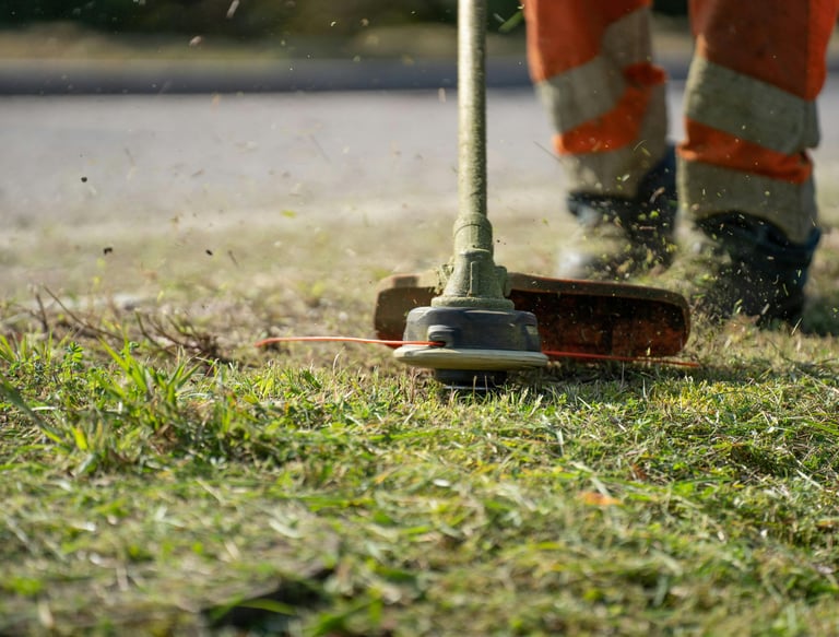 Strimming and Brush cutting Garden clearance Bridgwater Somerset UK