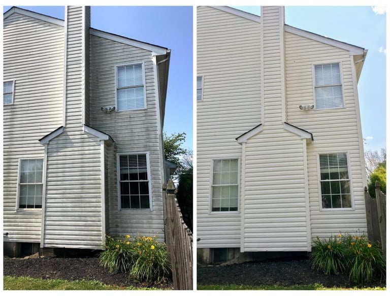 Home exterior cleaning in Trinity, FLโtransforming curb appeal with a professional soft wash