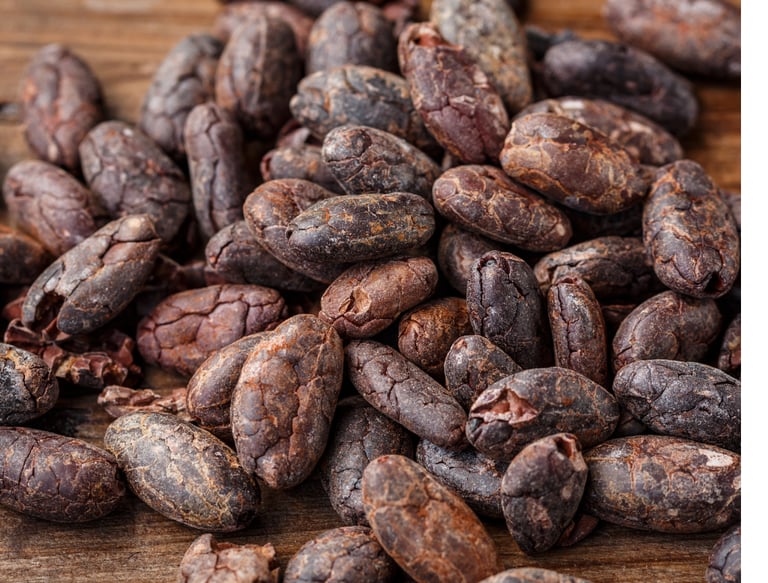  dry cocoa beans
