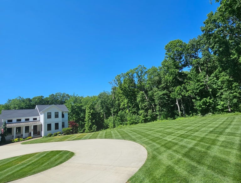 Happy Customer's beautifully maintained lawn