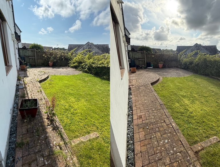 garden transformation