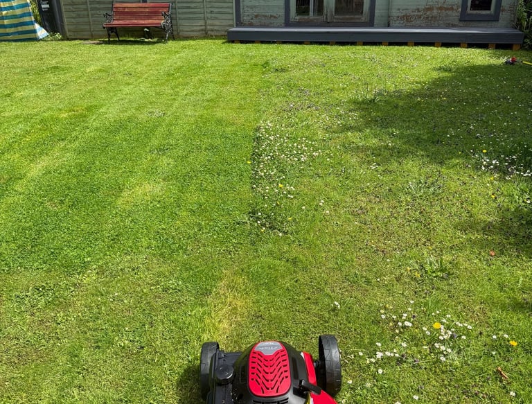 lawn mowing 