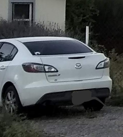 a white car parked on a gravel road