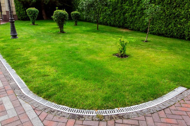 excellent landscaping and hardscaping of grass, stones and trees by NP Landscaping