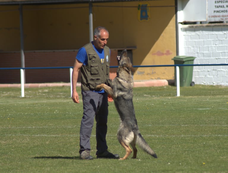 a man in a field with a dog