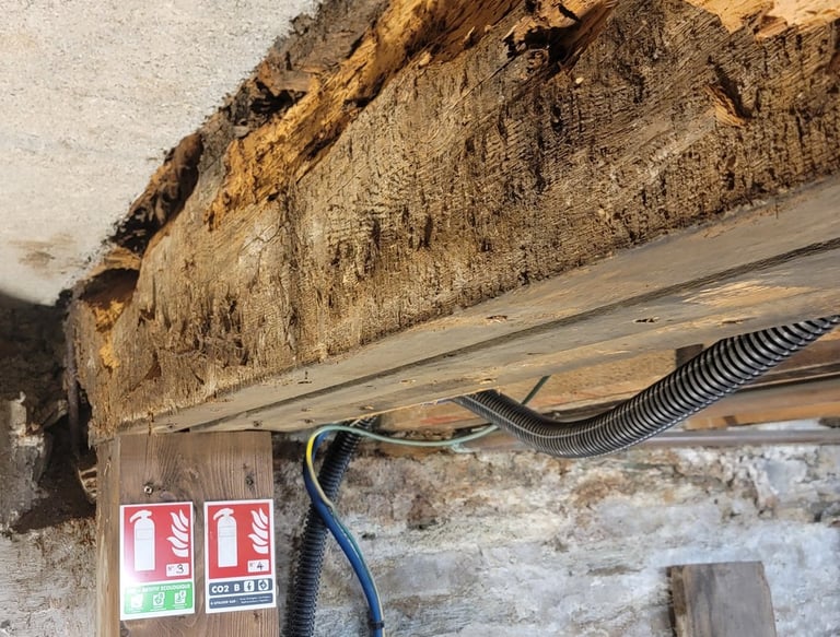 atelier arbeo cherbourg manche cotentin expertise solidité plancher bois poutre en bois vétusté bois