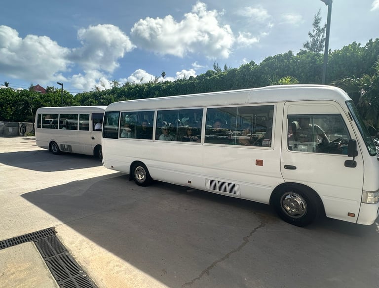 bermuda group transport