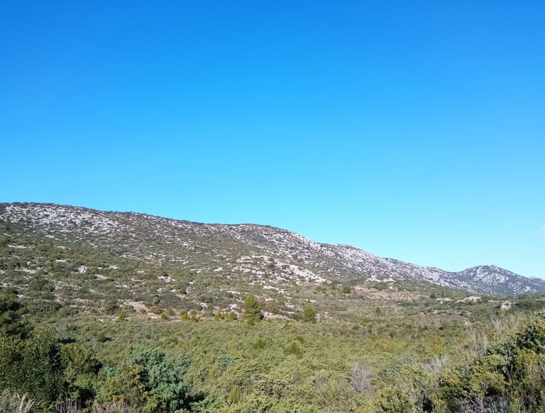 un paysage des Corbières