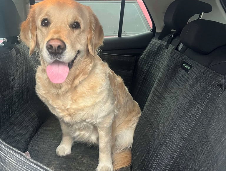 labai tvirtas užklotas