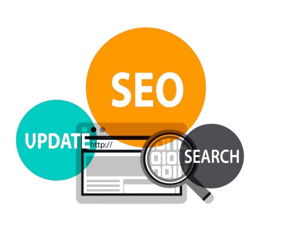SEO Services Company in Bangalore