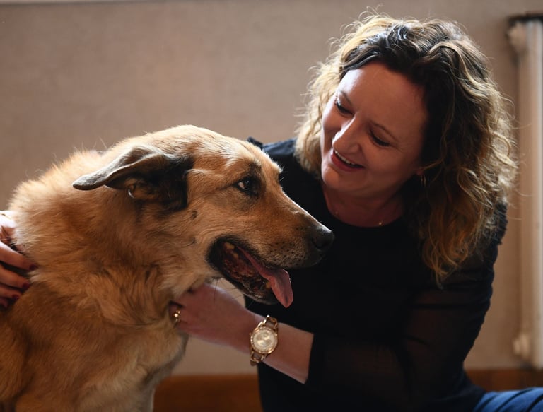 chien et naturopathe