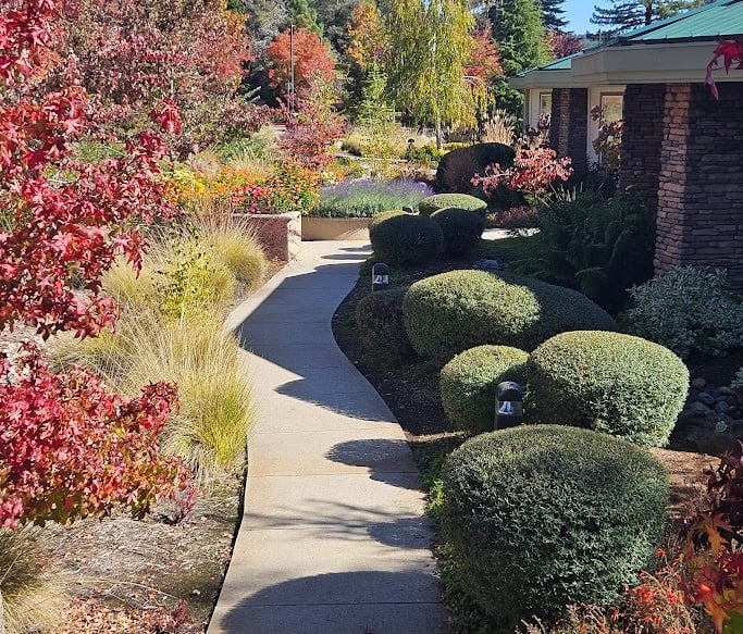 Commercial Landscape Maintenance