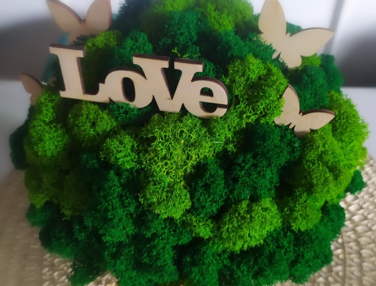 Mech chrobotek w betonowej doniczce