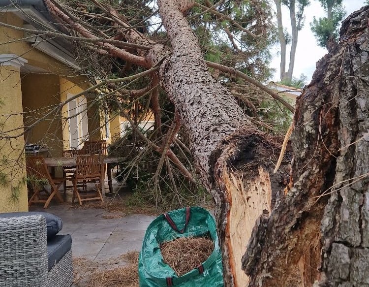 arbre qui vient de s'effondrer sur une maison