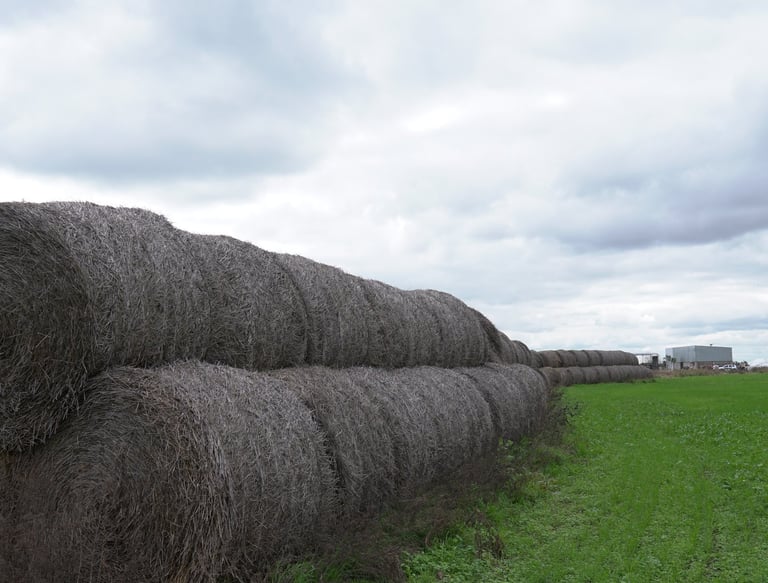 una pila de fardos en un campo