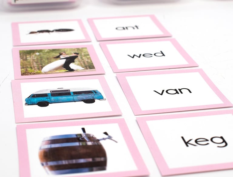 Pink Reading Series working with Record keeping system to help teach better