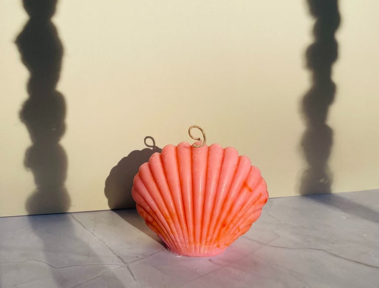 a shellfish shellfish shellfish shellfish shellfish shellfish shellfish shell