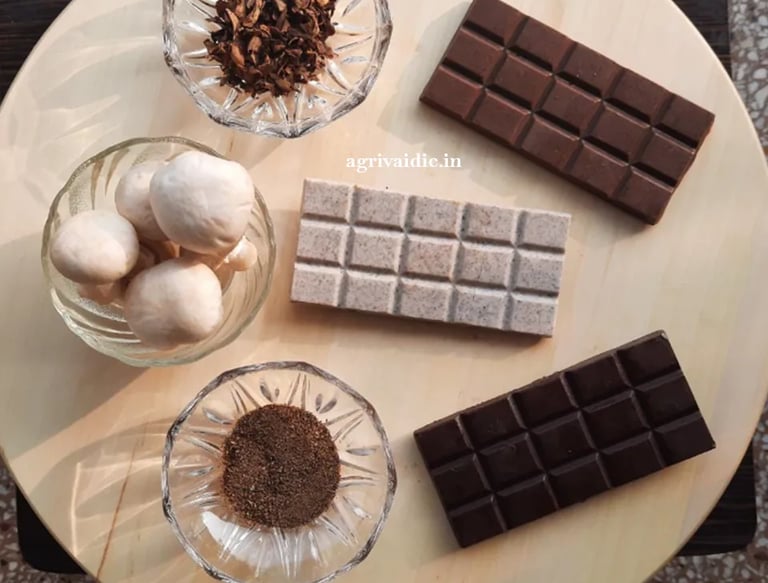 Food Startup by AVI venture studio Mushroom Chocolates