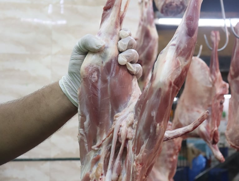 a person holding a knife and a knife in a kitchen