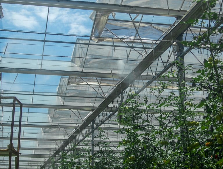 Greenhouse High Pressure Fogging System