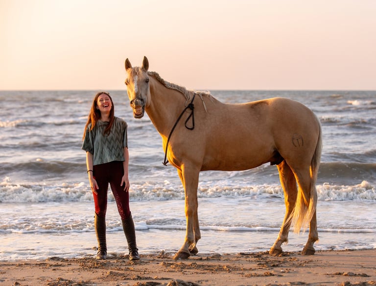 couple cavalier cheval en liberte la plage