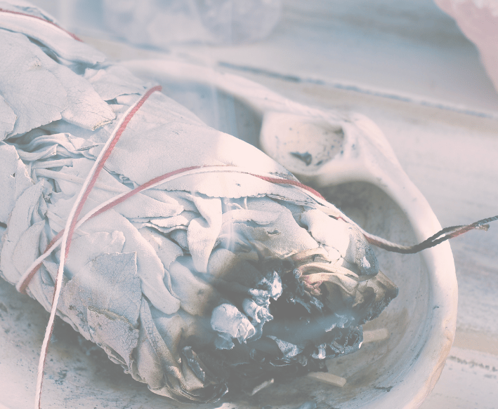 Sauge - Nathalie Collet Voix Son Vibration