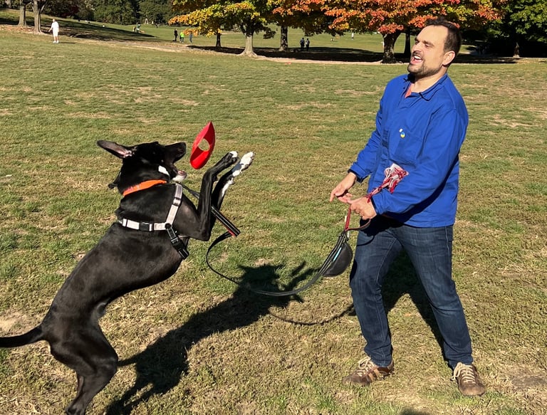 a man in a blue shirt is playing with a dog