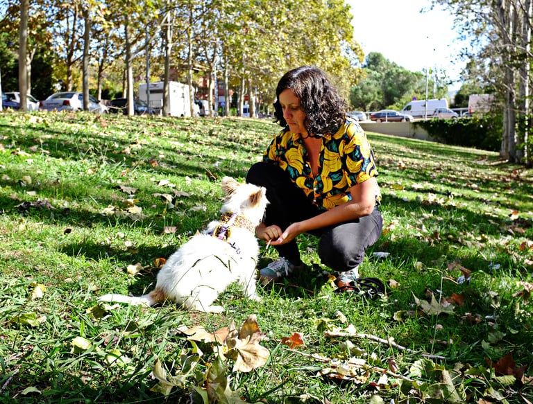 Adiestradora canina trabajando con un perro en un parque de Sant Cugat