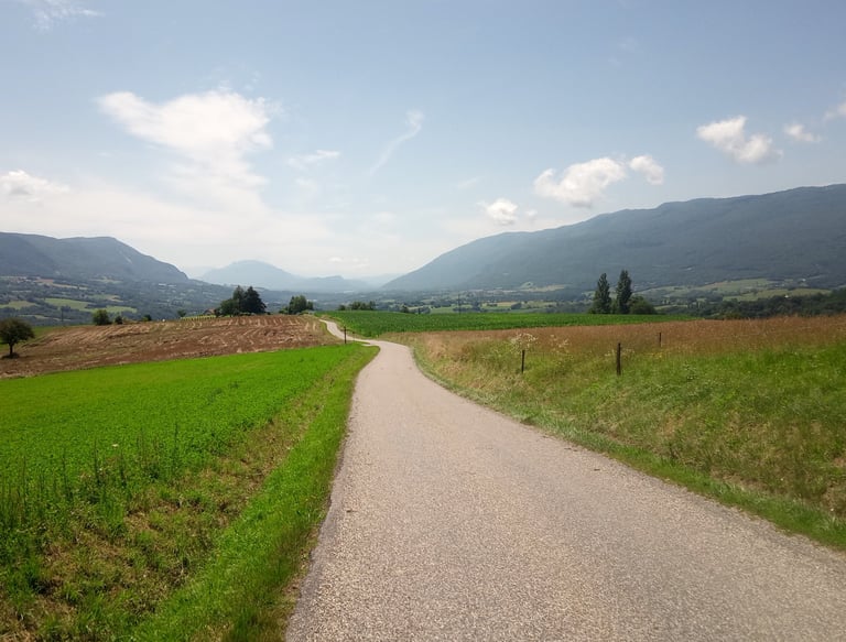 Selbstfindung, Jakobsweg